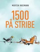 1500 på stribe af Morten Ingemann