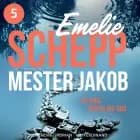 Mester Jakob