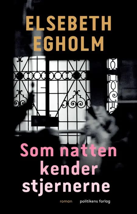 Som natten kender stjernerne af Elsebeth Egholm