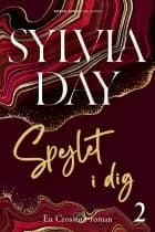 Spejlet i dig