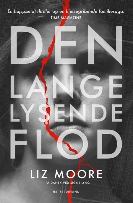 Den lange lysende flod af Liz Moore