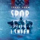 Spor i sneen