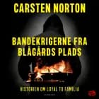 Bandekrigerne fra Blågårds Plads