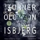 Isbjerg af Niklas Turner Olovzon