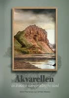 Akvarellen af Carsten Hansen