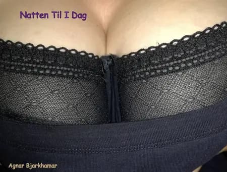 Natten til i dag af Agnar Bjarkhamar