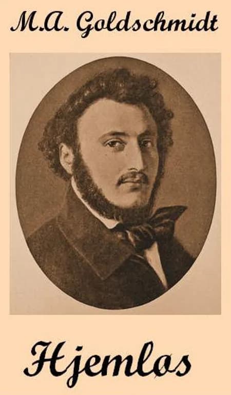 Hjemløs af Meïr Aron Goldschmidt