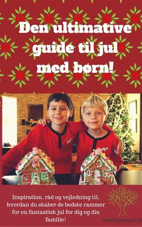 Den Ultimative Guide Til Jul Med Børn af Trine Andreasen