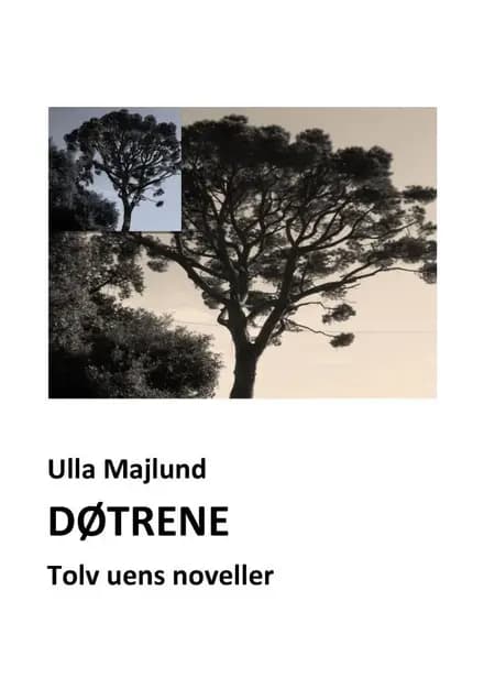Døtrene. Tolv uens noveller af Ulla Majlund
