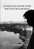 Sulten fugl flyver sydpå mæt fugl bygger rede af Robert Jensen