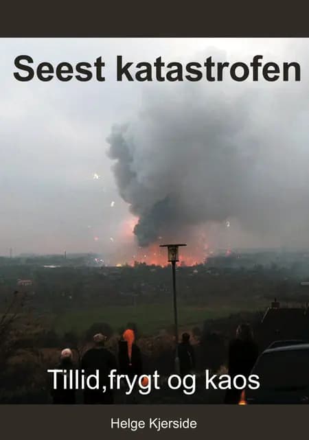 Seest katastrofen af Helge Kjerside