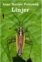 Linjer