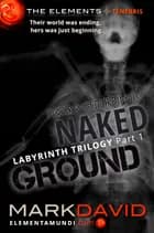 Labyrinth 1: Naked Ground af Mark David
