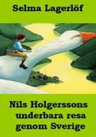 Nils Holgerssons underbara resa genom Sverige af Selma Lagerlöf