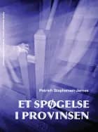 Et spøgelse i provinsen af Patrich Stephensen-Jarnes