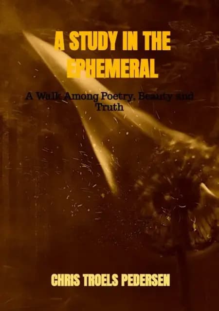 A Study in the Ephemeral af Chris Troels Pedersen