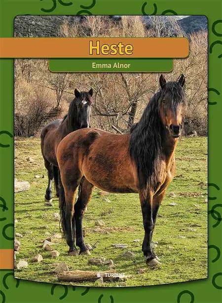 Heste 