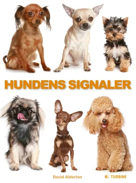 Hundens signaler af David Alderton