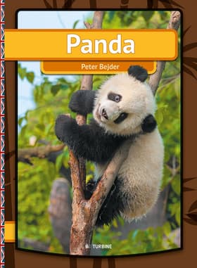 Panda af Peter Bejder