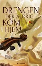 Drengen, der aldrig kom hjem