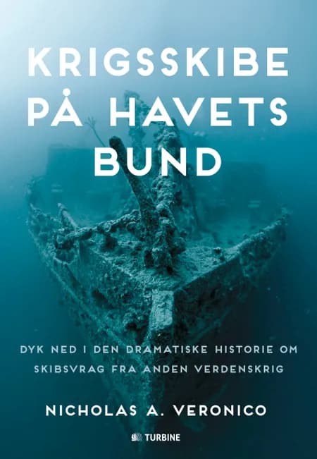 Krigsskibe på havets bund af Nicholas A. Veronico