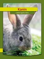 Kanin 