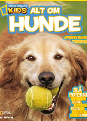 Alt om hunde af Gary Weitzman