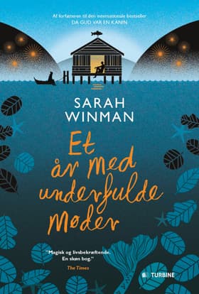 Et år med underfulde møder af Sarah Winman