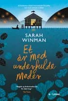 Et år med underfulde møder