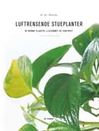 Luftrensende stueplanter