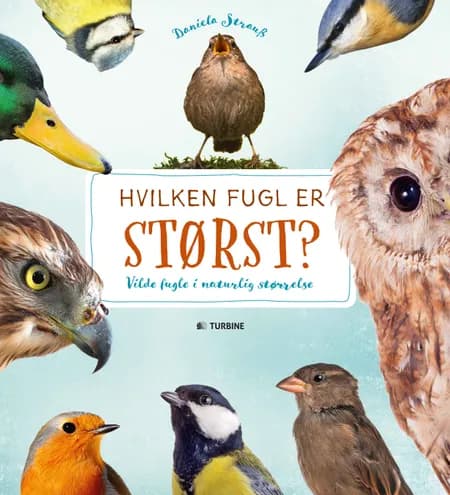Hvilken fugl er størst? af Daniella Strauss