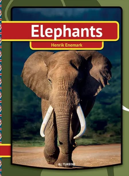Elephants af Henrik Enemark
