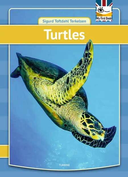 Turtles af Sigurd Toftdahl Terkelsen