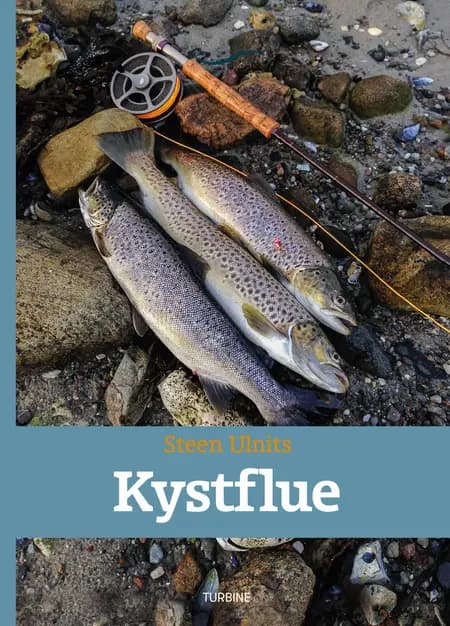 Kystflue af Steen Ulnits