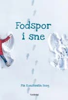 Fodspor i sne