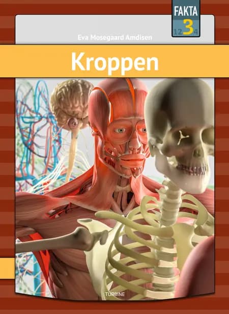Kroppen af Eva Mosegaard Amdisen