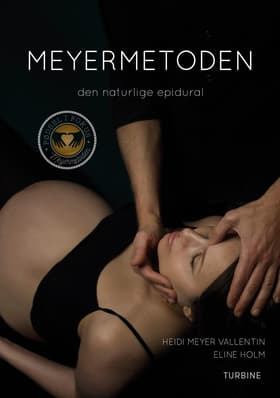 Meyermetoden af Heidi Meyer Vallentin