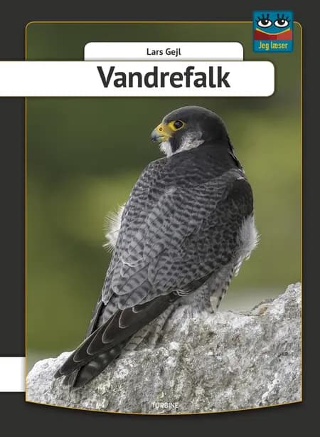 Vandrefalk af Lars Gejl