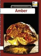 Amber af Eva Mosegaard Amdisen