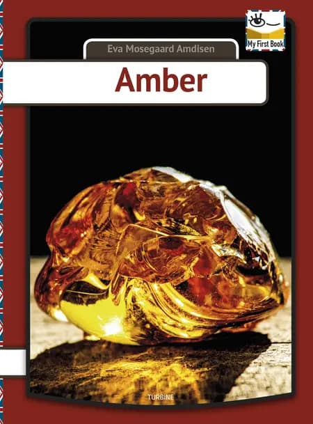 Amber af Eva Mosegaard Amdisen