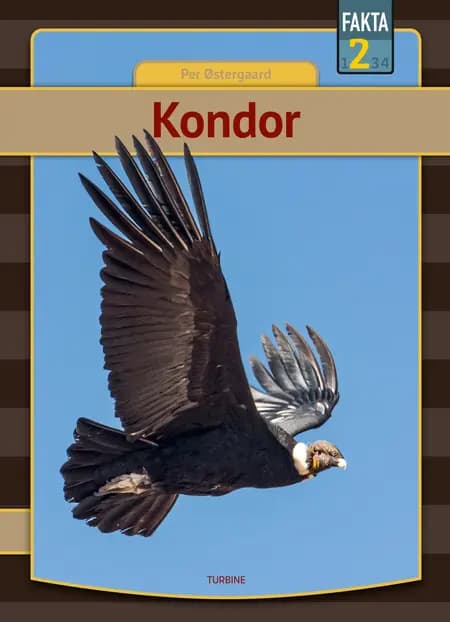 Kondor af Per Østergaard