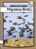 Migratory birds af Henrik Enemark