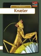 Knæler af Per Østergaard