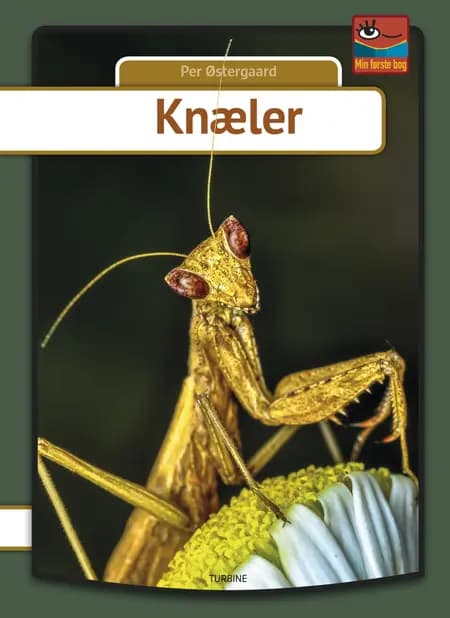 Knæler af Per Østergaard