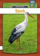 Stork