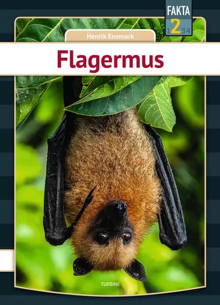 Flagermus af Henrik Enemark