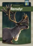 Rensdyr af Per Østergaard