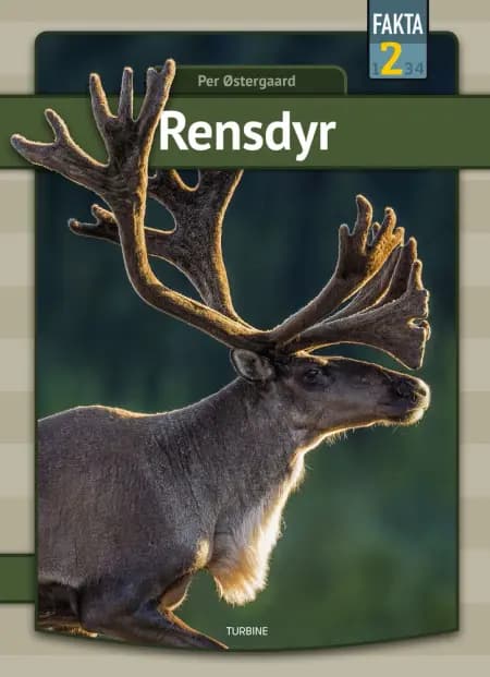 Rensdyr af Per Østergaard