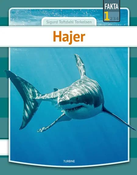 Hajer af Sigurd Toftdahl Terkelsen