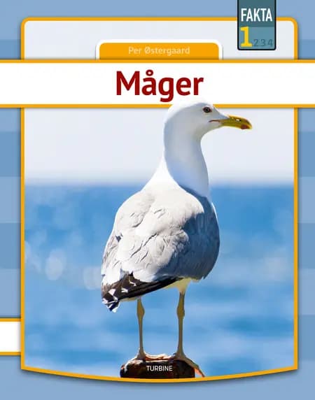 Måger af Per Østergaard